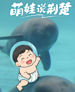 威“5”！萌娃眼中的湖北