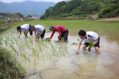 通山：播撒税收及时雨  护航春耕正当时