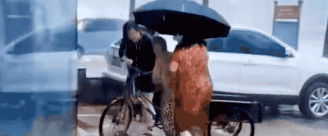 暴风雨中的这一幕，必须狠狠点赞！  