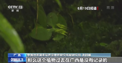 “神鹰天坑”植被科考初步完成！或发现新的分布种  