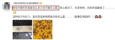 提醒！最近少穿这种颜色的衣服出门
