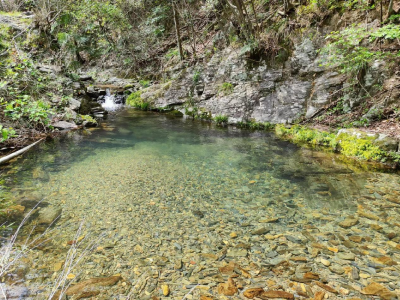 【创建文明城市 建设秀美通山】厦铺镇：“集民智 促民风 聚民力”共筑乡村秀美