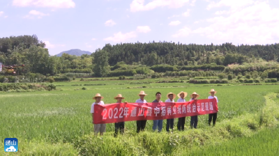 长江云——【下基层 察民情 解民忧 暖民心】通山县农业农村局：开展水稻病虫害防治 切实解决群众“急难愁盼”  