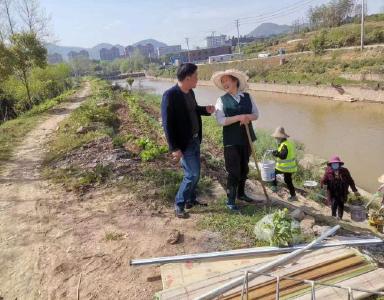 【创建文明城市 建设秀美通山】通羊镇：爱护绿水青山 缔造美丽县城