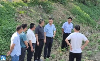 省农业农村厅调研组来通山调研督导撂荒地清理整治及粮食生产重点工作