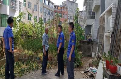 【随手拍跟踪】鑫达建材小区业主违规养鸡