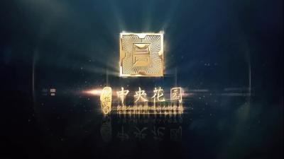 【视频】隐水村舞蹈队《老百姓的菜篮子》