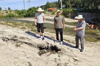 通山审计局：从义务劳动变成了专职保洁员