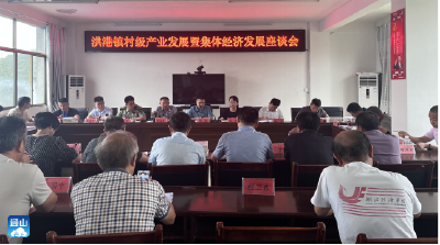 洪港镇：聚力乡村谋振兴  支书座谈话发展