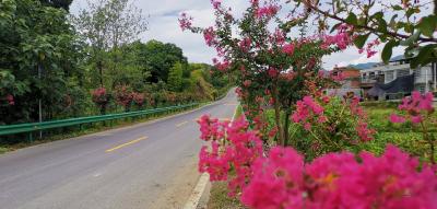 长江云——阡陌变大道 铺就振兴路 通山县“四好农村路”建设走笔