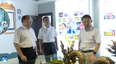 V视 | 刘复兴到通山慰问省直单位驻村工作队