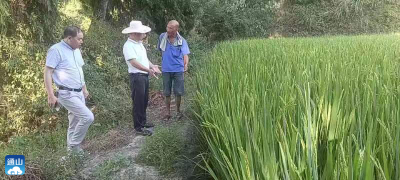 【坚决打赢抗大旱保民生攻坚战】杨芳林乡：积极应对旱情  全力做好抗旱工作
