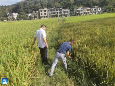  【坚决打赢抗大旱保民生攻坚战】县民政局：闻令而动  下沉一线  全力做好驻村抗旱救灾工作  