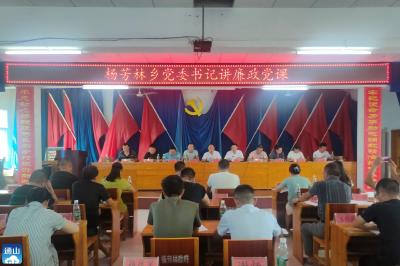 【清廉通山】杨芳林乡：召开党风廉政建设宣教月活动动员暨警示教育大会