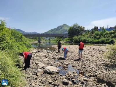 九宫山镇：河畅水清 岸绿景美 共同缔造