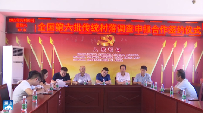 V视丨洪港镇与湖北科技学院携手共推传统村落调查申报工作