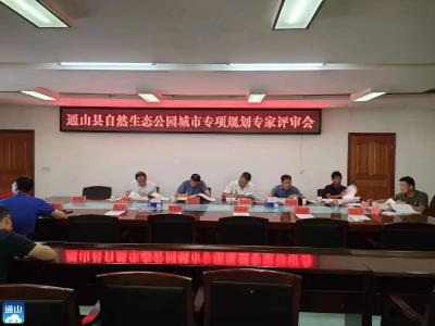 通山县自然生态公园城市、电力设施布局专项规划专家评审顺利通过