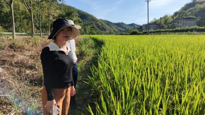 【坚决打赢抗大旱保民生攻坚战】洪港镇：抗旱救灾  党委领导  全员作战