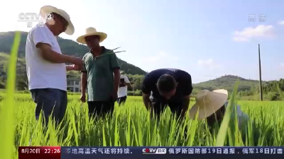 高温持续 各行各业该如何应对？  