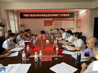【“一下三民”实践活动·共同缔造】V视 | 县领导督导大畈镇下杨村“共同缔造”试点工作