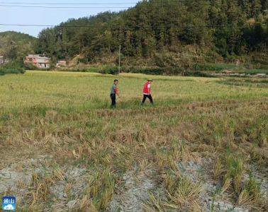 九宫山镇：严防秋老虎“惹火”，筑牢森林防火线