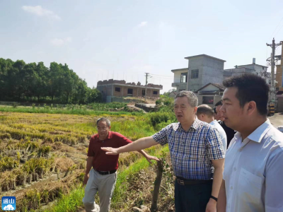 【“一下三民”实践活动•共同缔造】县领导到厦铺镇双河村调研指导“共同缔造”试点创建工作