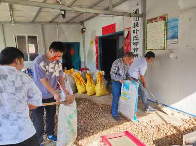 【下基层 察民情 解民忧 暖民心】黄沙铺镇孟垅村：滞销果品愁销路 工作队爱心助农暖人心