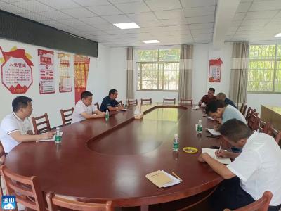 【“一下三民”实践活动·共同缔造】大畈镇：共同缔造 做好厕所革命回头看