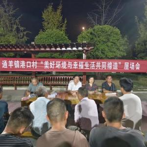 【“一下三民”实践活动•共同缔造】通羊镇港口村：“村湾夜话”话出幸福生活