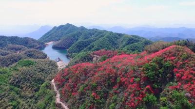 【九宫文学】中篇小说连载 | 大幕山之恋 ②