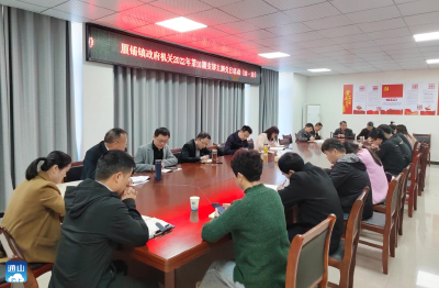 厦铺镇：开展2022年第10期“支部主题党日”活动