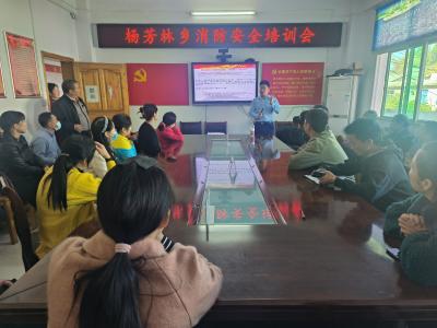 杨芳林乡：开展消防专题培训  营造安全消防环境