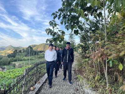 大畈镇下杨村：交流学习补短板  探索共同缔造特色路