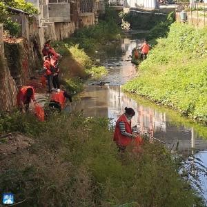 【“一下三民”实践活动·共同缔造】通羊镇：守护碧水清流  绘就生态画卷