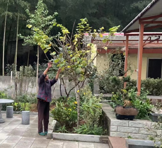 【通山县“美丽家园 共同缔造·巧妇靓家”60】大畈镇推选人：下杨村杨建城