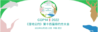 走，与湿地珍稀“精灵”来一次邂逅！