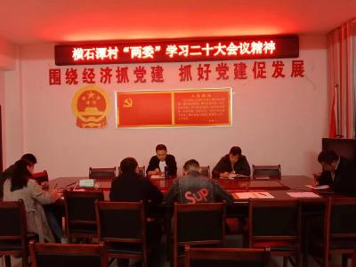 【深入学习贯彻党的二十大精神】九宫山镇横石潭村：“夜学”党的二十大精神 强化思想政治引领