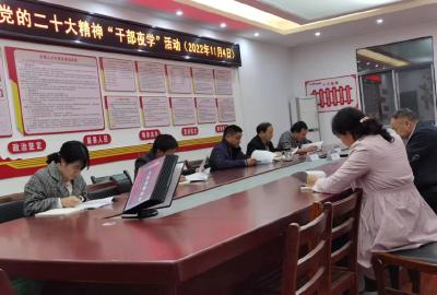 【深入学习贯彻党的二十大精神】九宫山镇：以“学习强国”点燃党的二十大学习新引擎