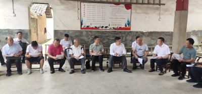 【“一下三民”实践活动·共同缔造】九宫山镇横石村：共同缔造“三四五” 