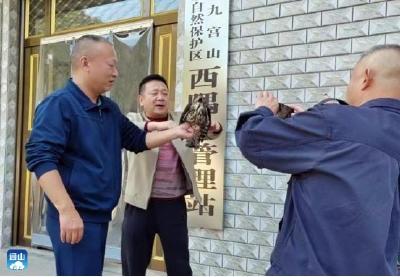 重归自然！通山放飞国家二级保护动物松雀鹰