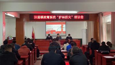 洪港镇积极开展森林防火进校园活动
