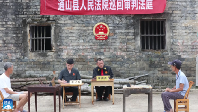 V视 |通山法院：营造公正高效司法环境 打造平安通山新高地
