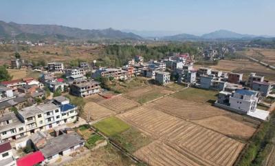  燕厦乡：“水陆空”立体巡查  提升林长制质效