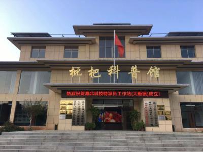 通山：“枇杷强”变强记