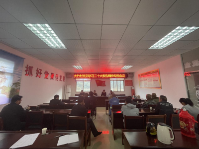 【深入学习贯彻党的二十大精神】慈口乡大竹村组织开展党的二十大精神宣讲活动