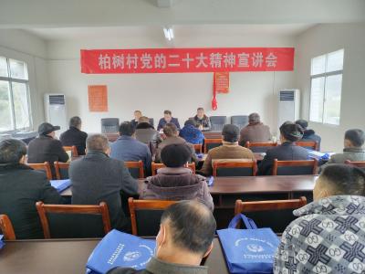 【深入学习贯彻党的二十大精神】通山县市场监管局到柏树村宣讲党的二十大精神