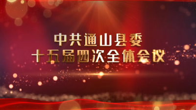 【短视频】中共通山县委十五届四次全体会议