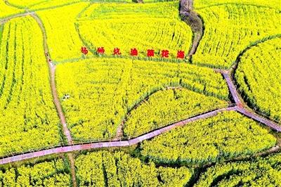 咸宁日报——通山扩种油菜2.75万亩受表彰