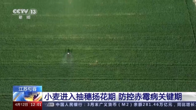 农业农村部：全国已春播粮食1.2亿亩 早稻育秧基本完成  