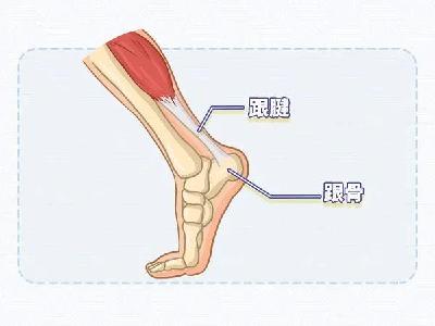 晨跑竟然还能跑出“病”？健身爱好者务必警惕  